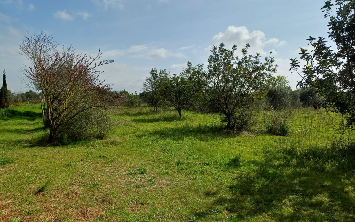 Land In Santa Maria Del Cami, Spain (72 M²)