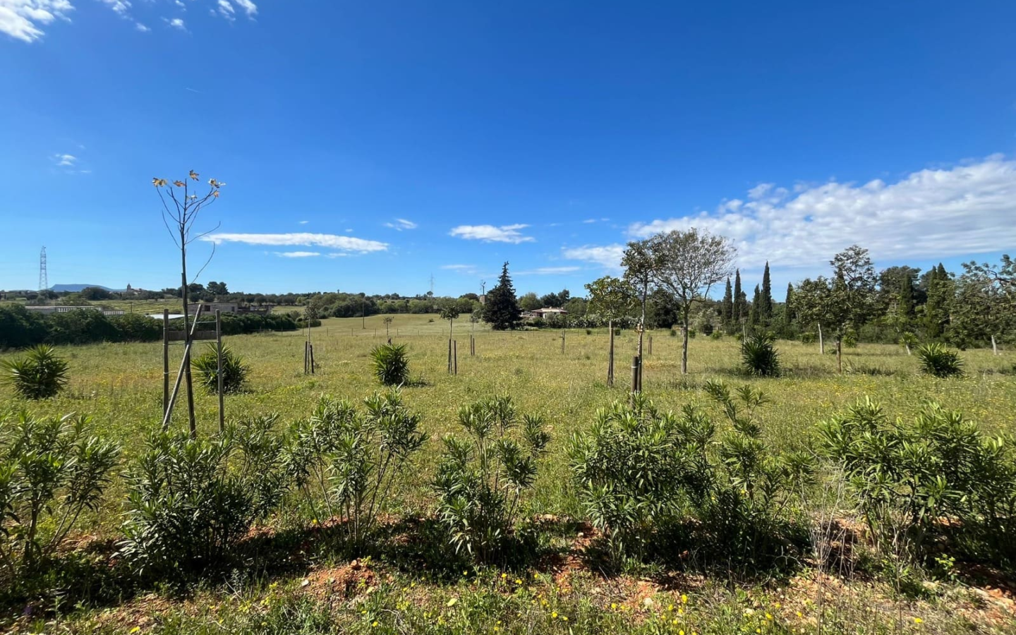 Land In Sencelles, Spain (327 M²)