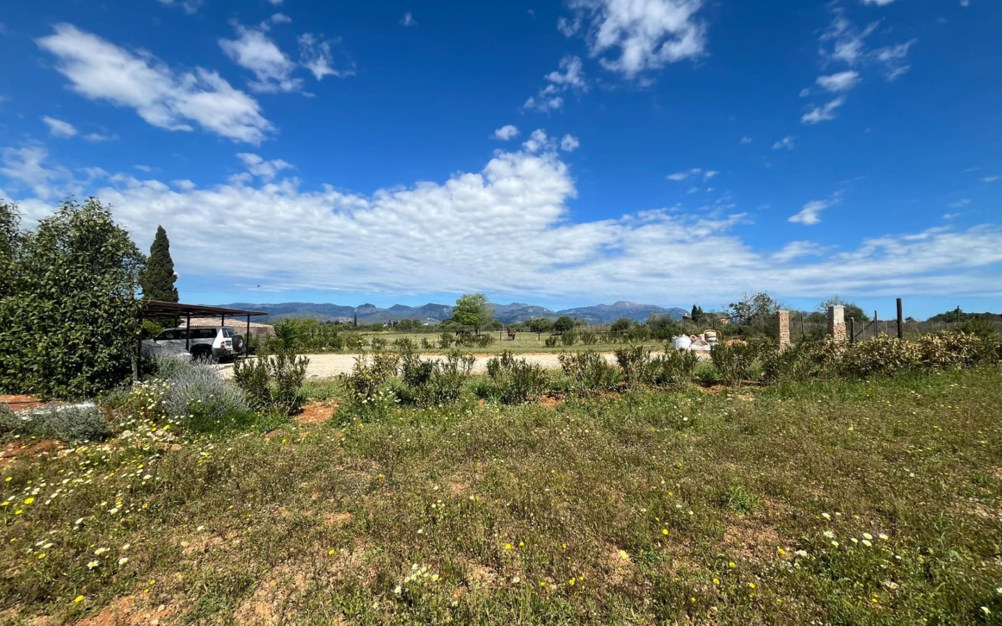 Land In Sencelles, Spain (327 M²)