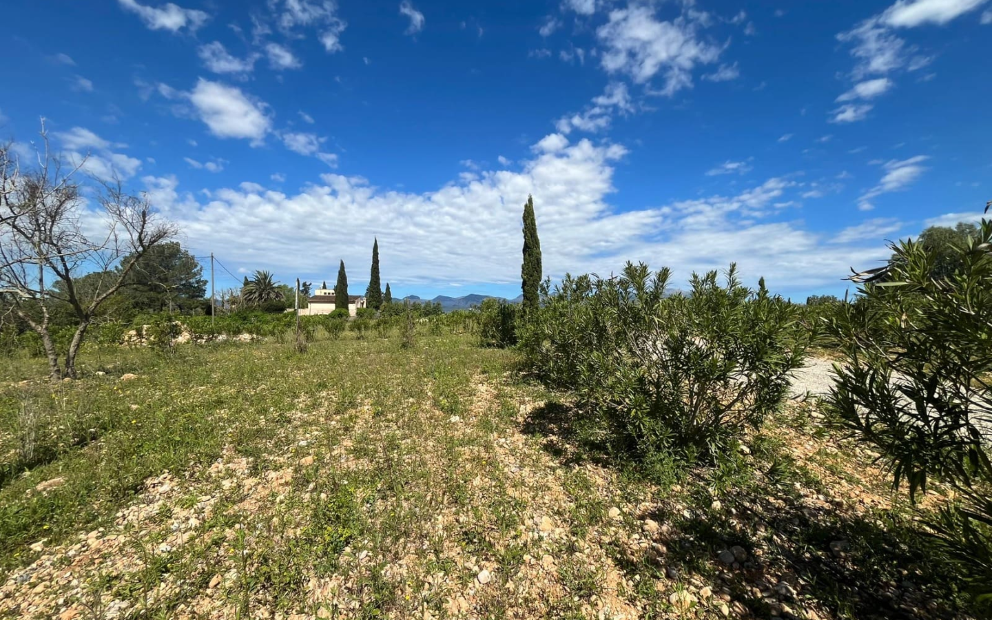 Land In Sencelles, Spain (327 M²)