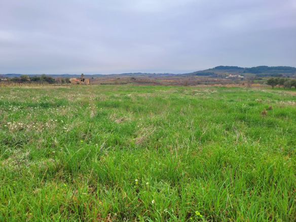 Land In Magalas, France (106.004 M² Plot)