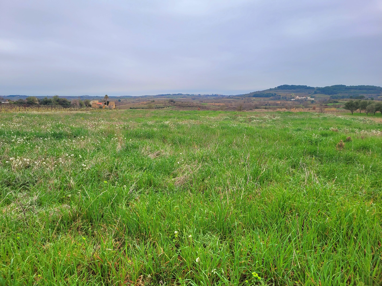 MUR137000EE-385632 Land In Magalas, France (106.004 M² Plot)