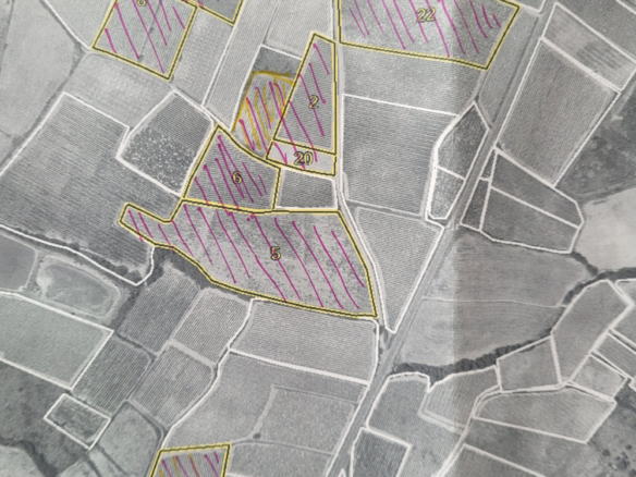 Land In Magalas, France (106.004 M² Plot)