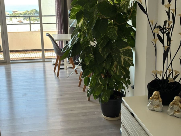 1-bedroom Apartment In Palma De Mallorca, Spain (70 M²)