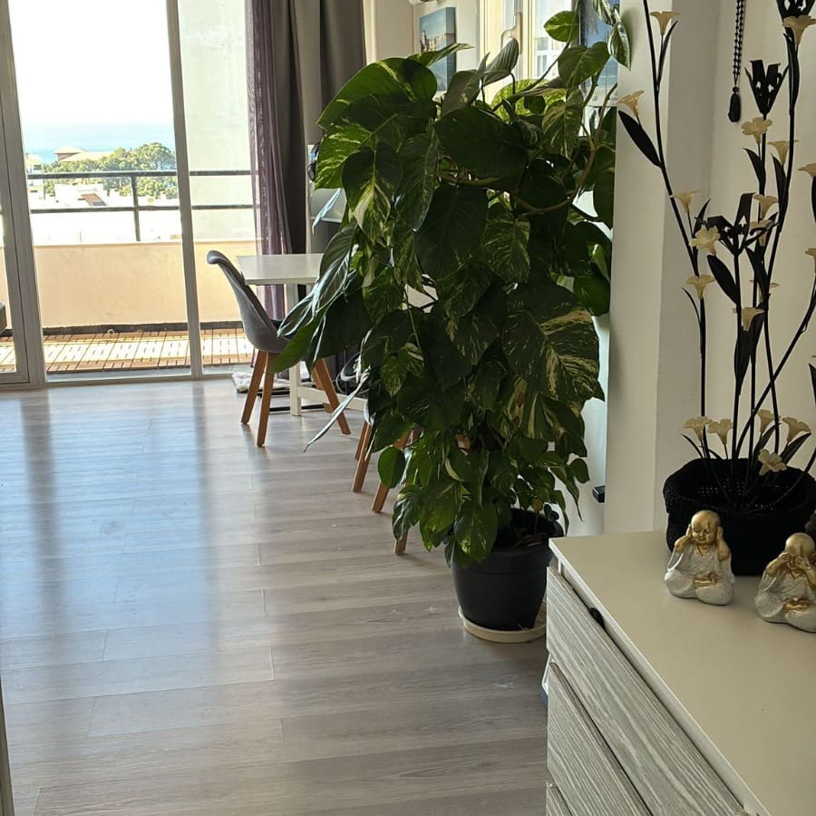 1-bedroom Apartment In Palma De Mallorca, Spain (70 M²)