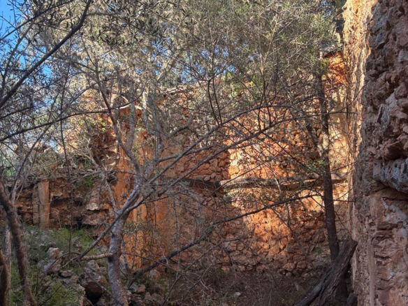Land In Costitx, Spain (35 M²)