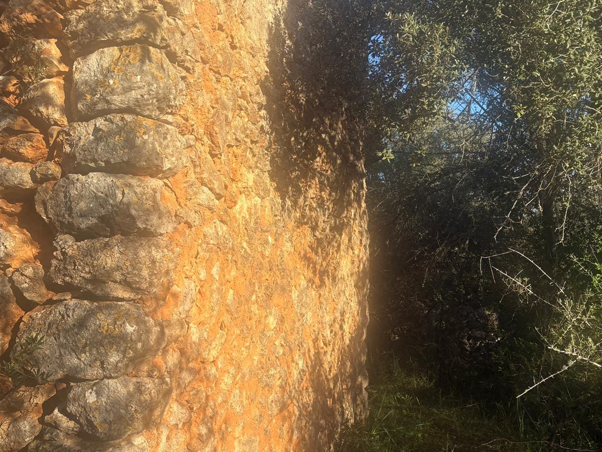 Land In Costitx, Spain (35 M²)