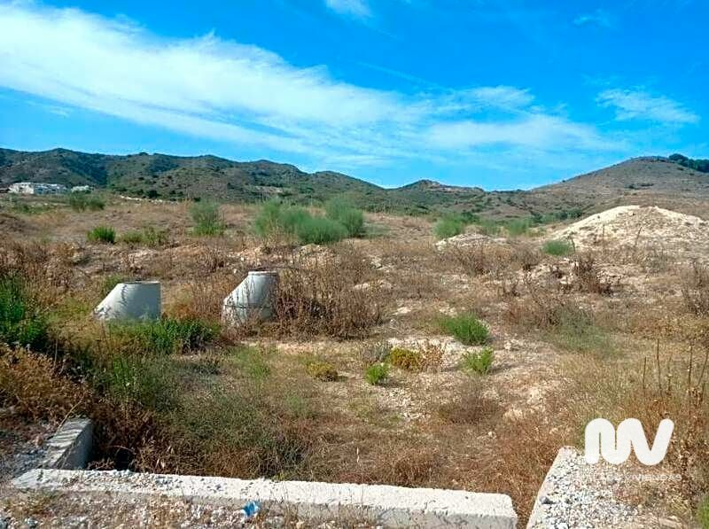 Land In Torrealquería, Spain (8.081 M² Plot)