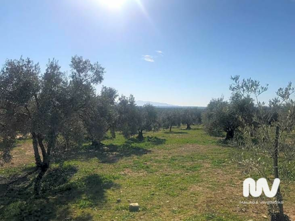 Land In Antequera, Spain (23.027 M² Plot)