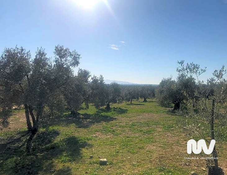 Land In Antequera, Spain (23.027 M² Plot)