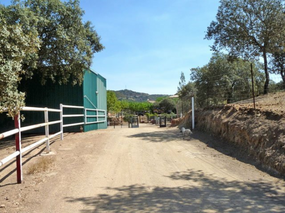 9-bedroom Finca In Espiel, Spain (500 M²)