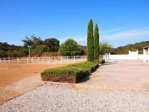 7-bedroom Finca In Constantina, Spain (400 M²)