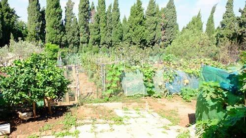 4-bedroom Detached House In Chiclana De La Frontera, Spain (243 M²)