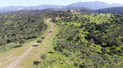 7-bedroom Finca In Andujar, Spain (1.500 M²)