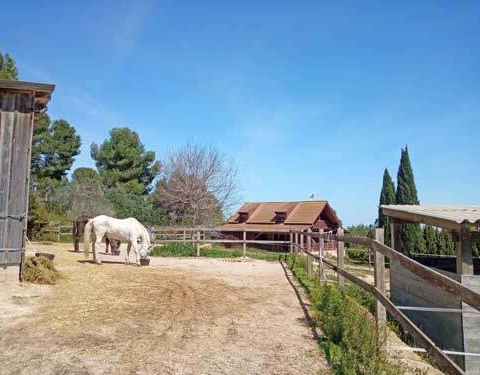 3-bedroom Finca In Montserrat, Spain (130 M²)