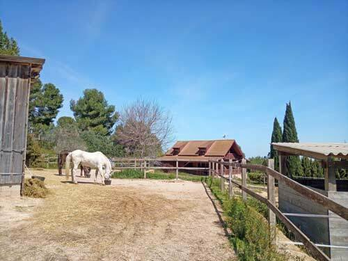 3-bedroom Finca In Montserrat, Spain (130 M²)
