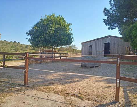 3-bedroom Finca In Montserrat, Spain (130 M²)