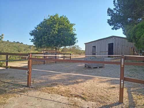 3-bedroom Finca In Montserrat, Spain (130 M²)
