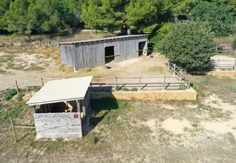 3-bedroom Finca In Montserrat, Spain (130 M²)