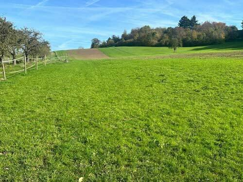 4-bedroom Property In Obersulm, Germany (340 M²)
