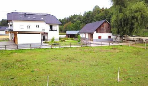 10-bedroom Country House In St Kanzian Am Klopeiner See, Austria (446 M²)