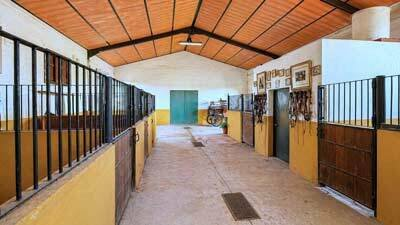 4-bedroom Finca In Arcos De La Frontera, Spain (330 M²)