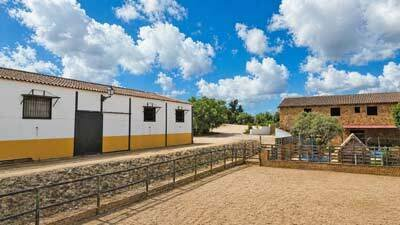 4-bedroom Finca In Arcos De La Frontera, Spain (330 M²)