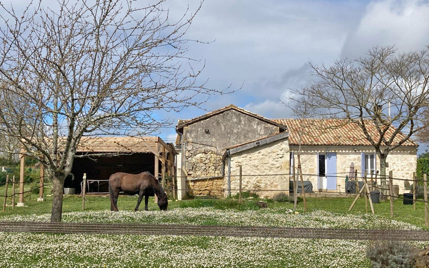 Country House In Saint-Émilion