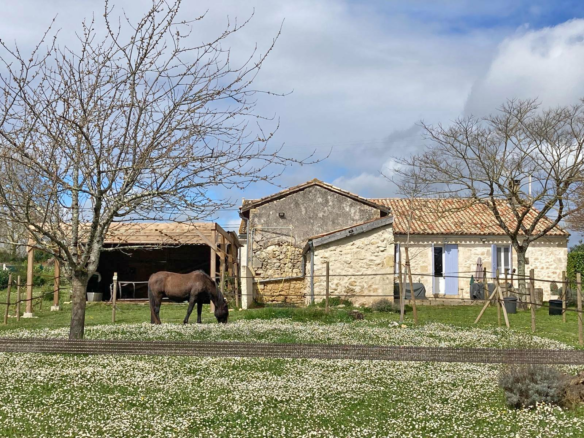 Country House In Saint-Émilion