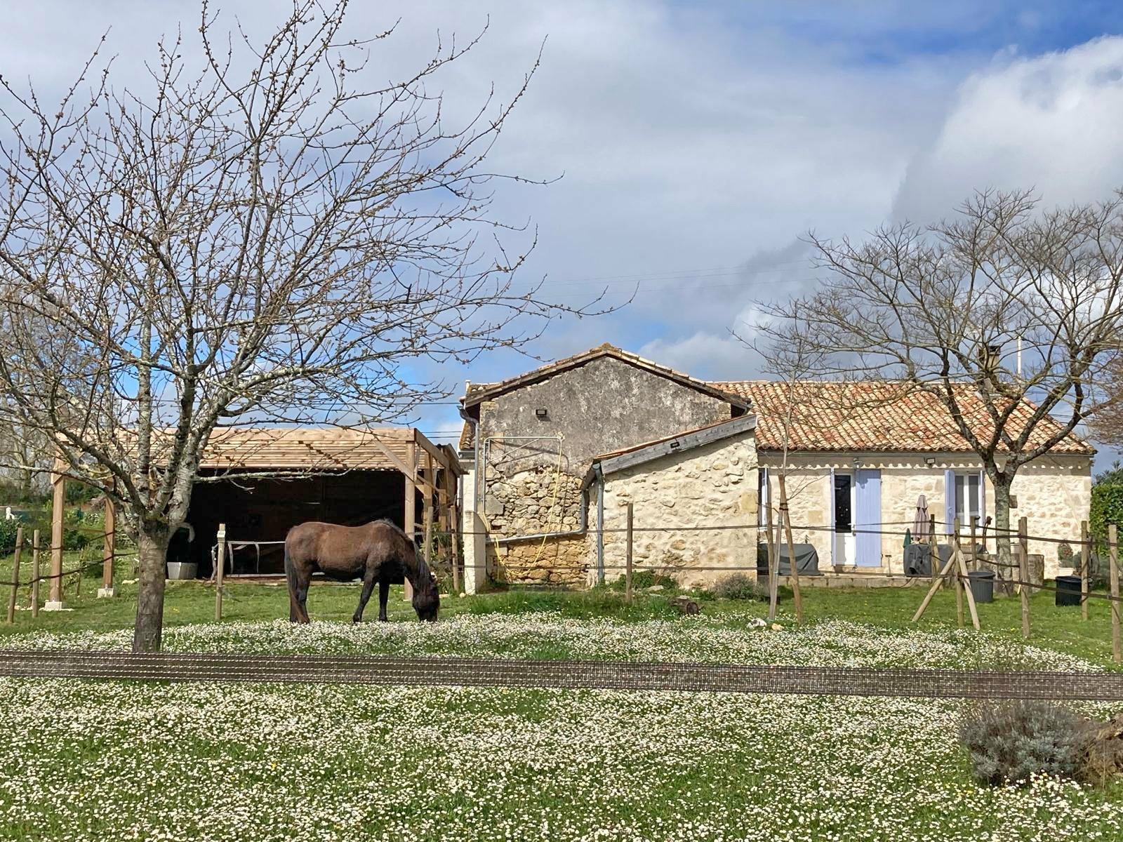 immobilie53569-2609-sued-west-frankreich-saint-emilion-haus-fuer-pferdeliebhaber-verkaufen-g-445a62 Country House In Saint-Émilion