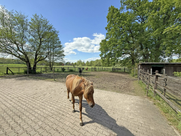 10-bedroom Country House In Bleckede, Germany (572 M²)