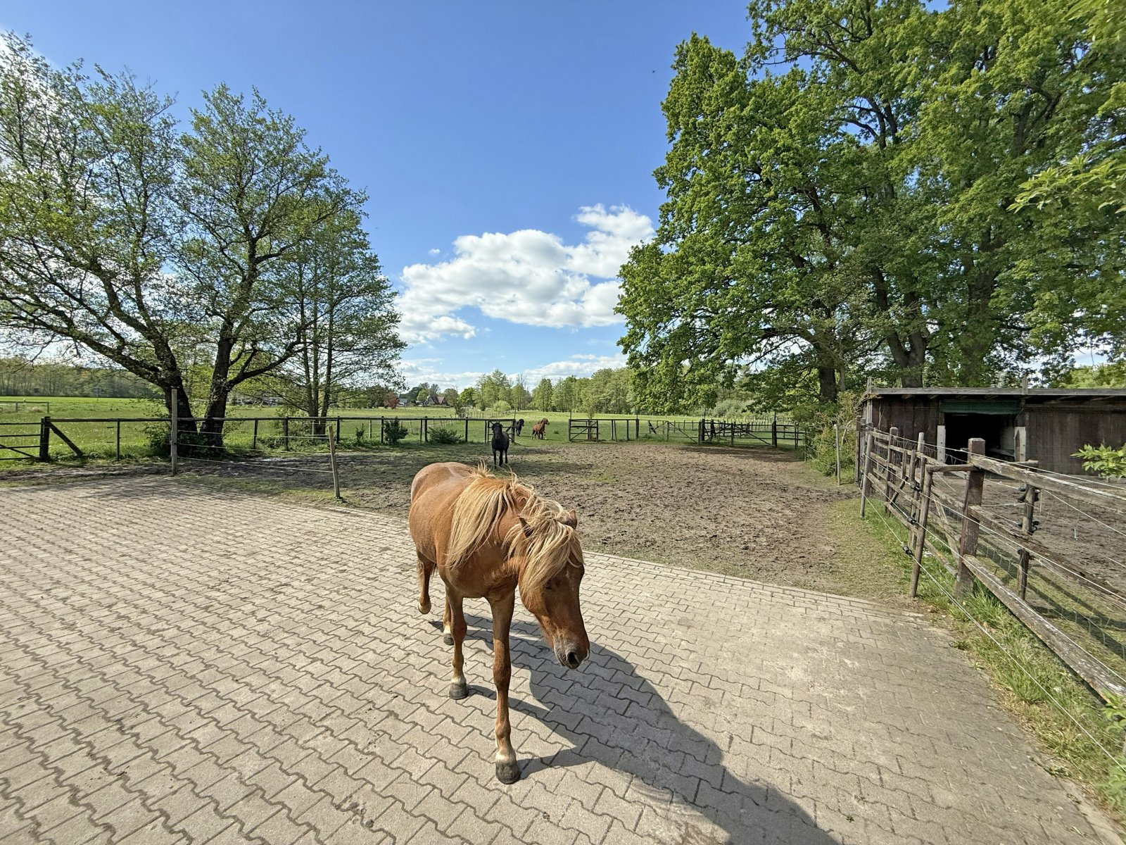 10-bedroom Country House In Bleckede, Germany (572 M²)