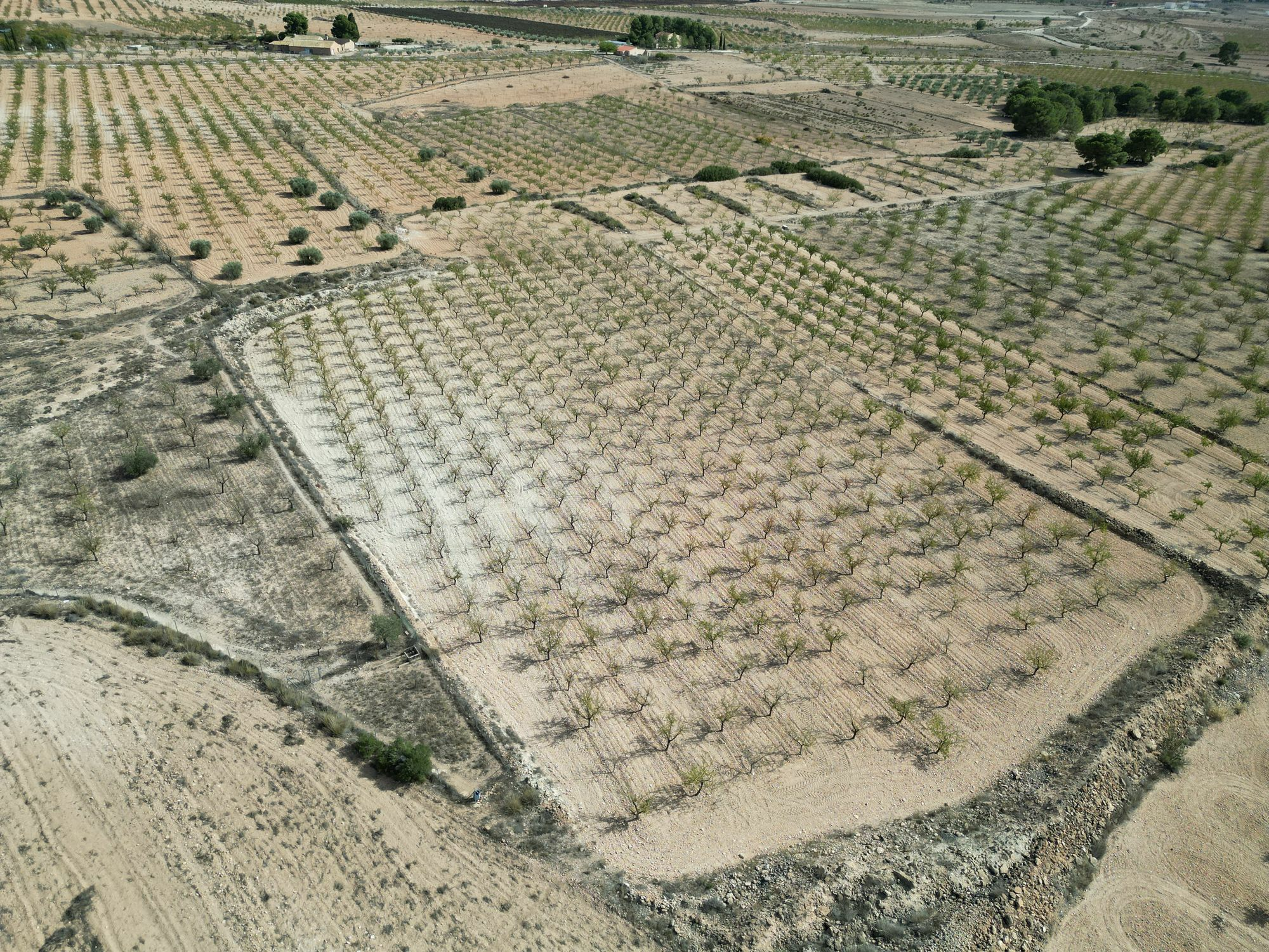 Land In Pinoso, Spain (11.321 M² Plot)