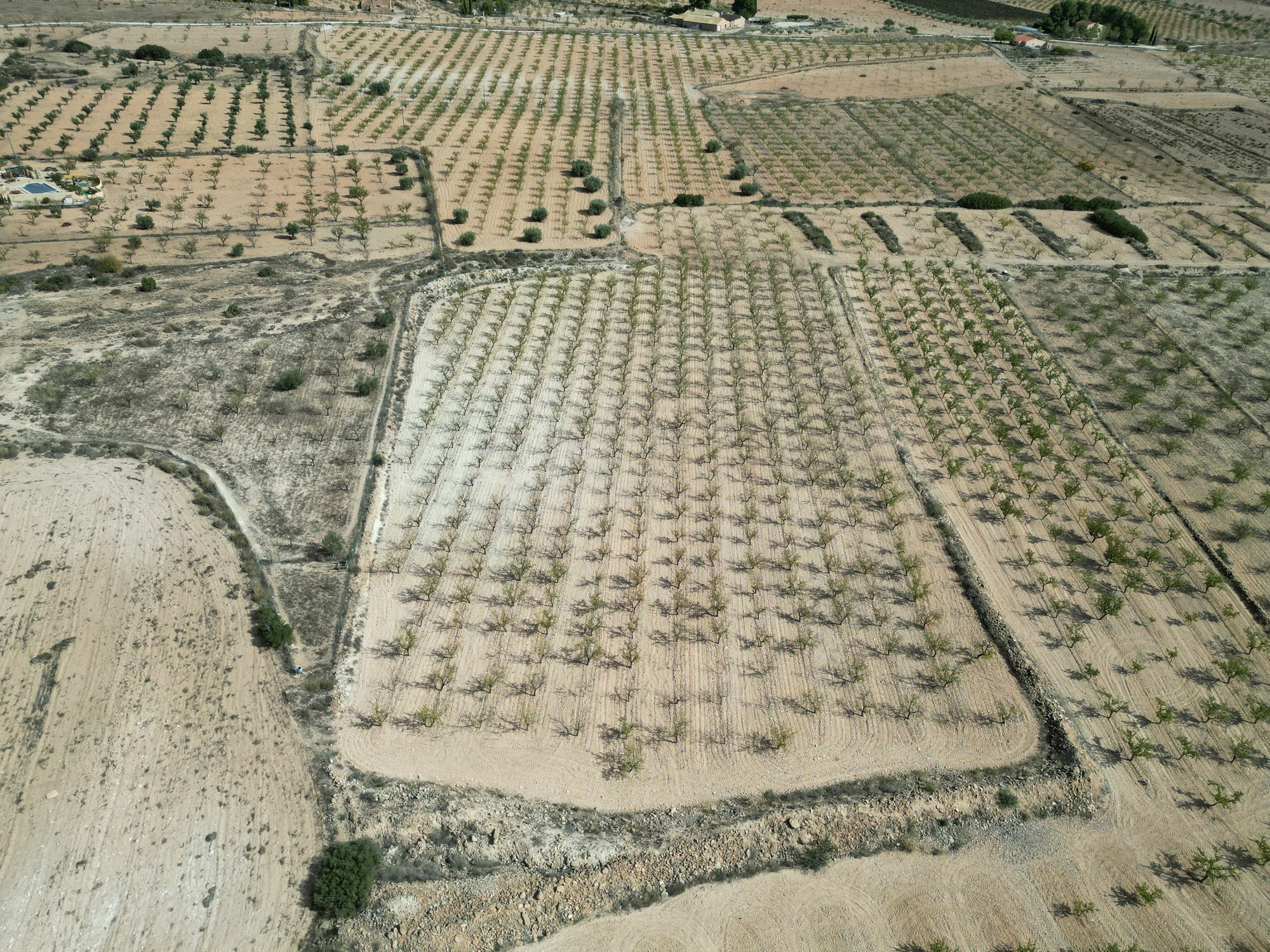 Land In Pinoso, Spain (11.321 M² Plot)