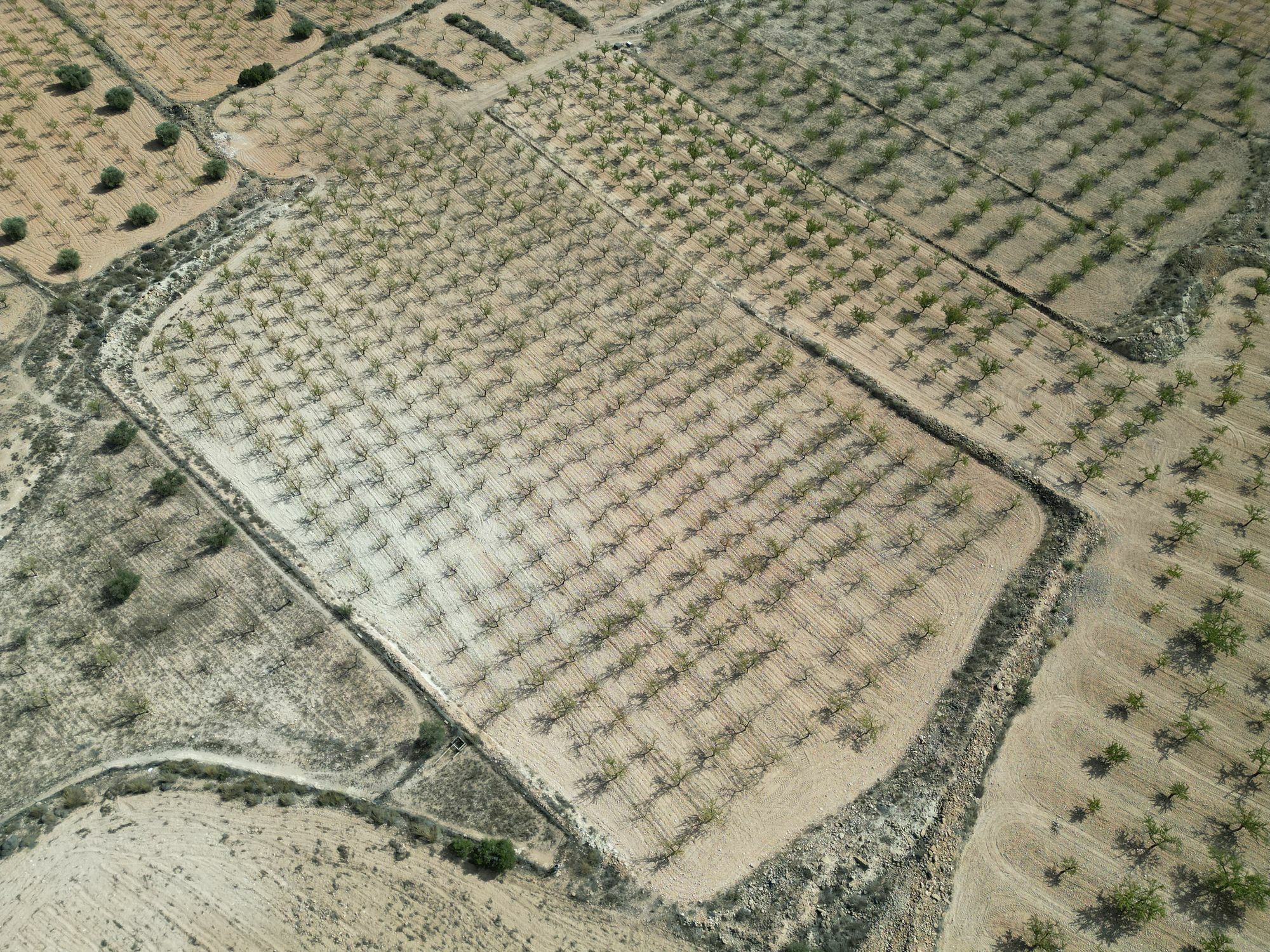 Land In Pinoso, Spain (11.321 M² Plot)