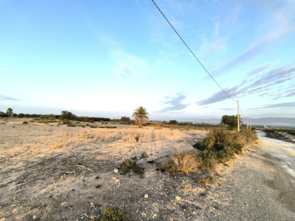 Country Land In La Marina