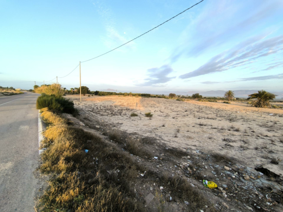 Country Land In La Marina