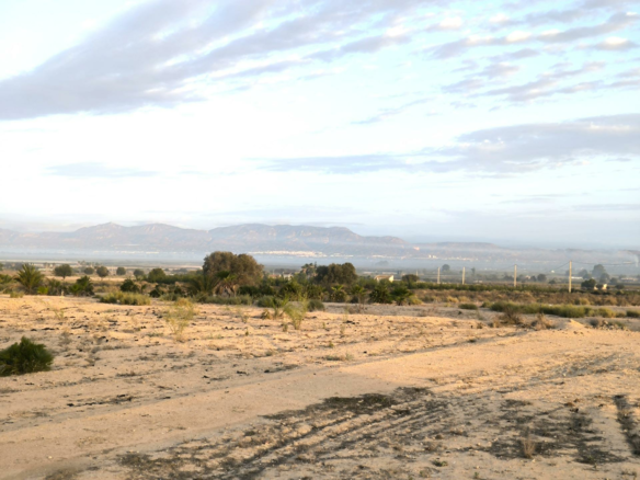Country Land In La Marina