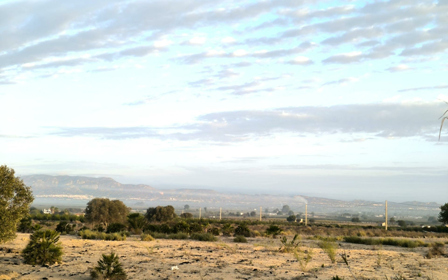 Country Land In La Marina
