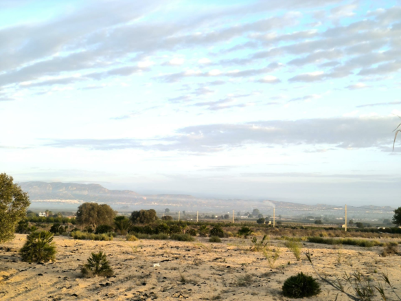 Country Land In La Marina