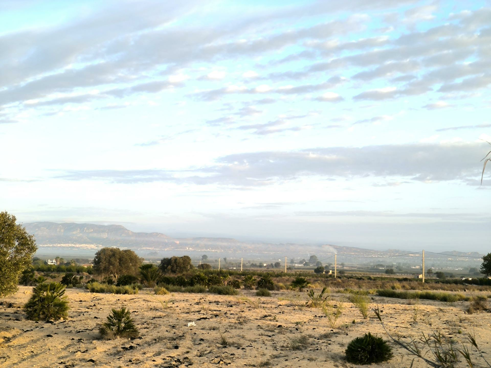 2-19-eab5da Country Land In La Marina