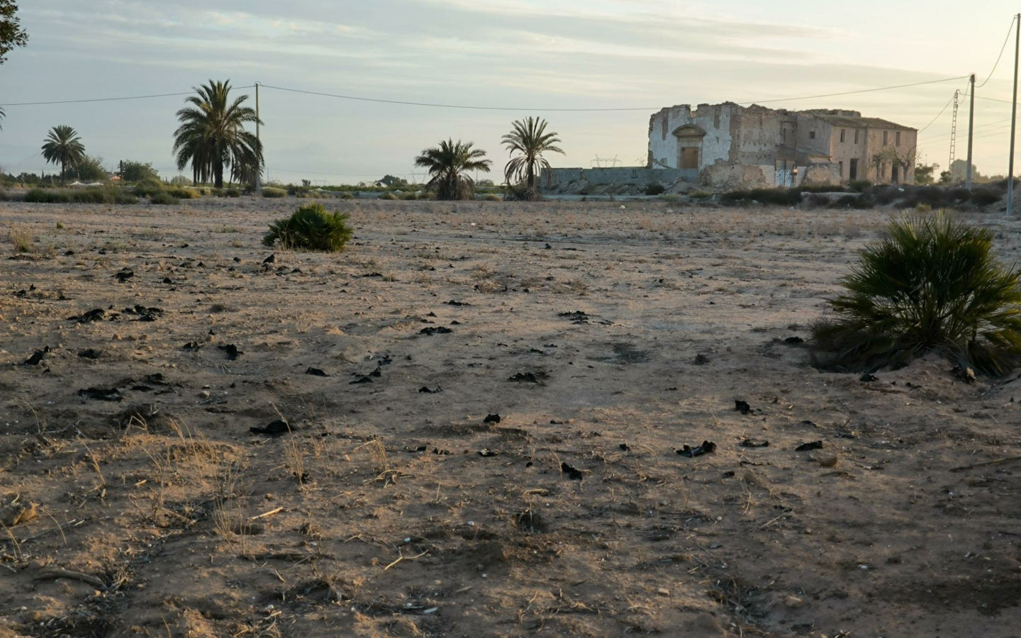 Country Land In La Marina
