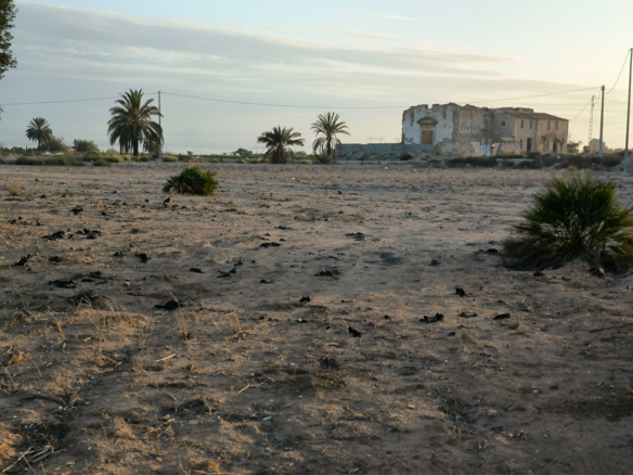 Country Land In La Marina