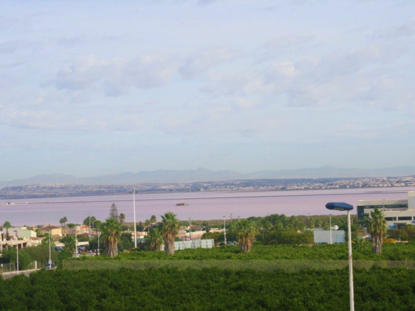 3-bedroom House In Torrevieja, Spain (225 M²)