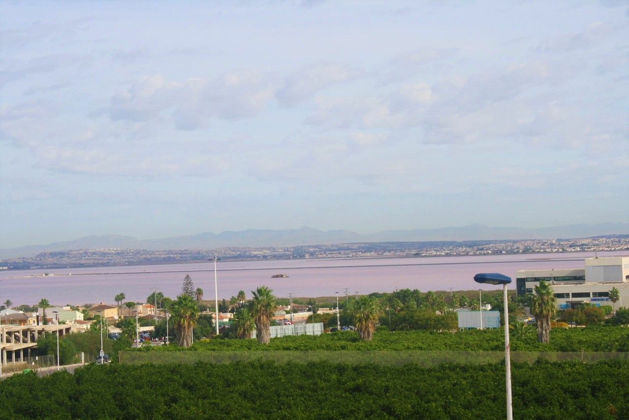 3-bedroom House In Torrevieja, Spain (225 M²)