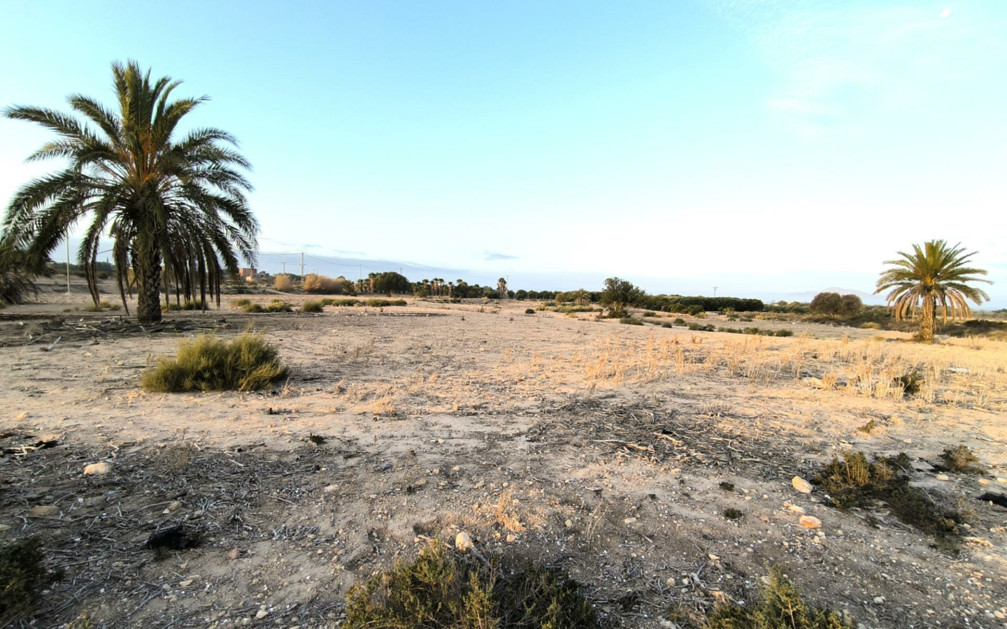 Country Land In La Marina