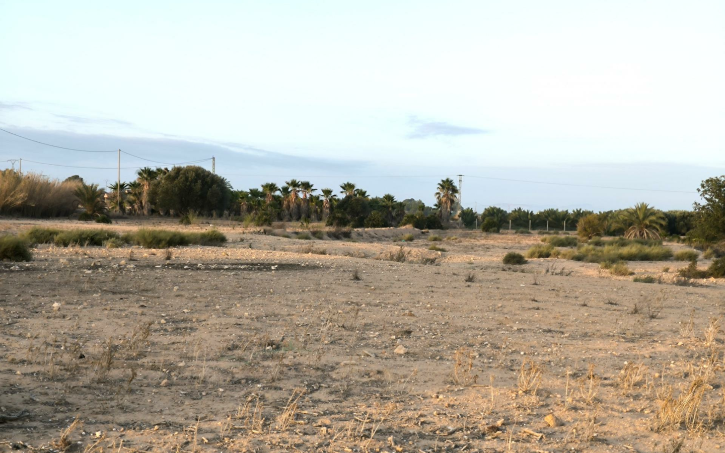 Country Land In La Marina