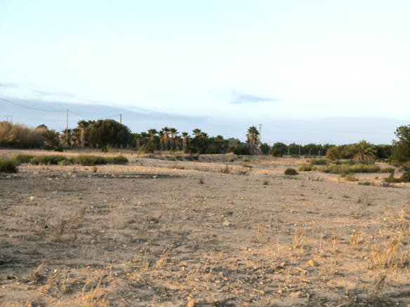 Country Land In La Marina