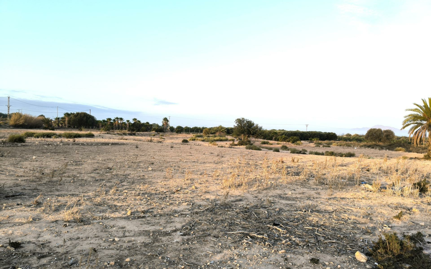 Country Land In La Marina