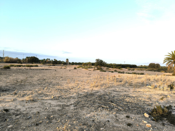 Country Land In La Marina